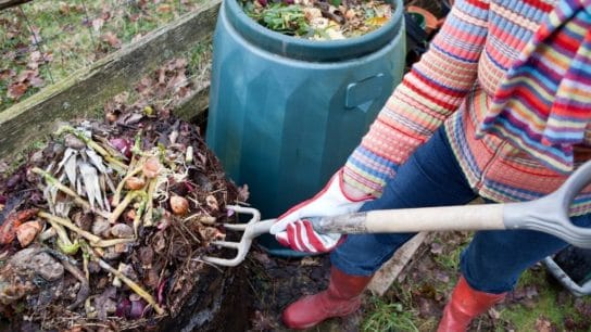 Composting Food to Reduce Food Waste