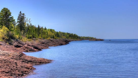 Plastic and Other Environmental Pollution in the Great Lakes