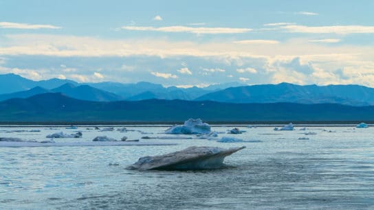 Trump Readies Last-Minute Auctions in Arctic Wildlife Refuge to Oil Drillers