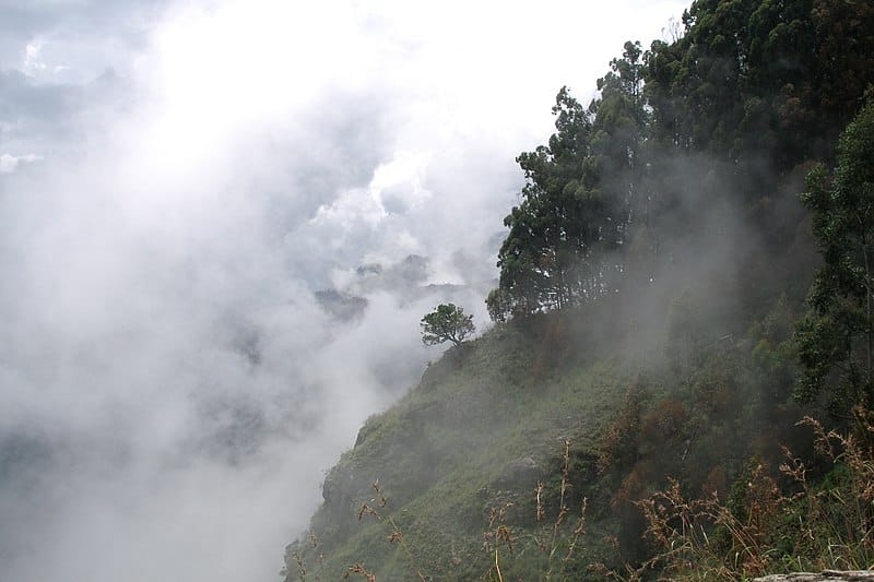Cloud forests within the Knuckles Mountain Range (photograph courtesy of Vyacheslav Argenberg)