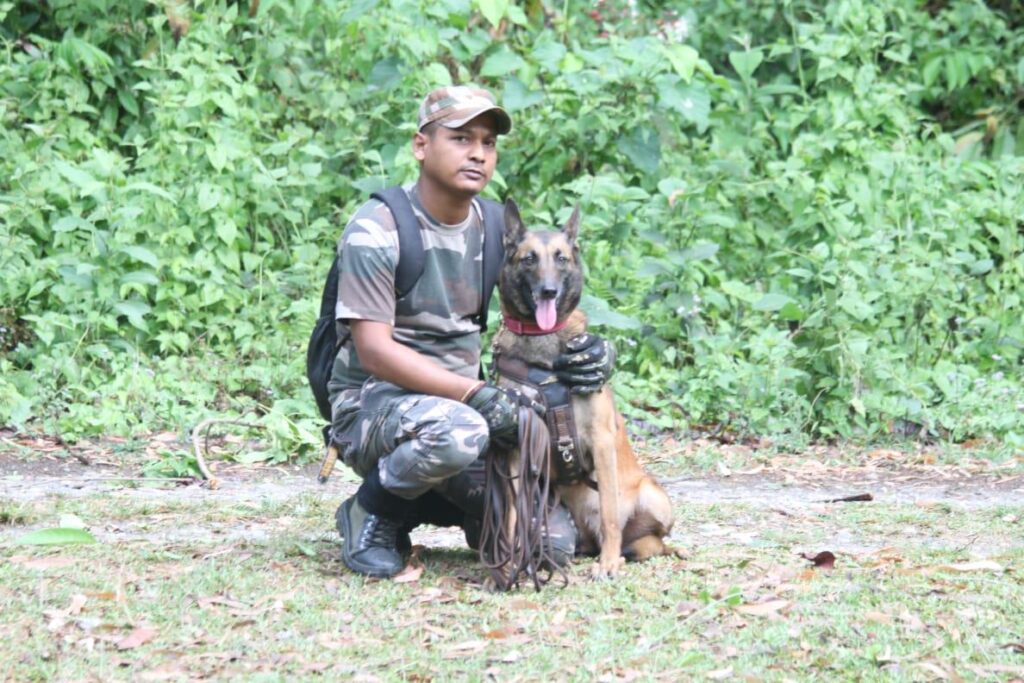 The David Shepherd Wildlife Foundation has supported the training of K9 Units for the apprehension of poachers in India