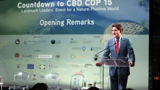 What Is COP15? All You Need to Know About the 2022 UN Biodiversity Conference