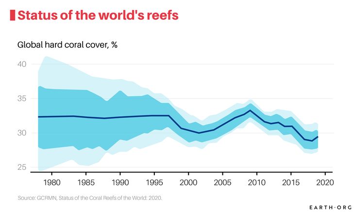 effects of coral bleaching