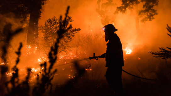 Unprecedented Scale: Exploring the Largest Wildfires in US History