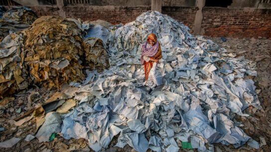 Fast Fashion and Its Environmental Impact