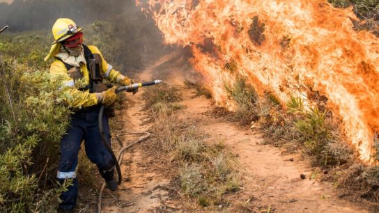 California Coastal Fire Destroys At Least 20 Homes, 900 Evacuated