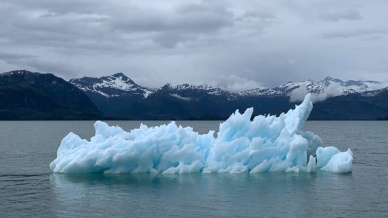 Explainer: What Is Causing Global Temperature Increase and Extreme Heatwaves?