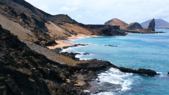 Scientists Discover 30 New Marine Species in the Galapagos