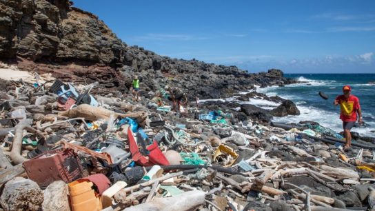 Plastic Pollution in Hawaii: Environmental Impacts and Solutions