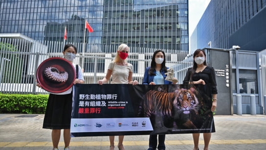 Hong Kong Passes Landmark Bill to Charge Animal Trafficking As A Serious Crime