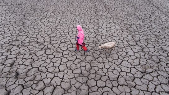 Global Drought Could Impact More Than 75% of World Population by 2050: UN Report