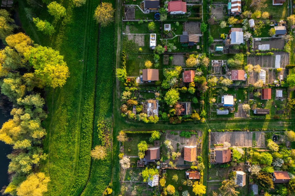 Breathing Life Into Cities: Unveiling Plants’ Hidden Air Quality Role