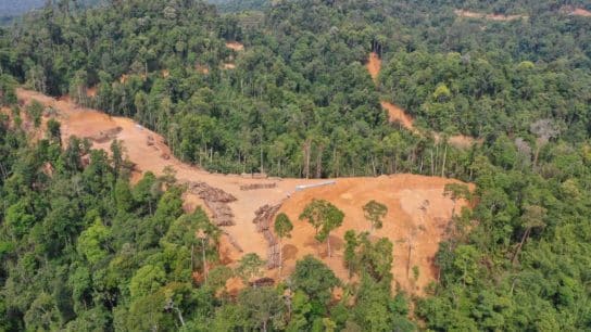 World Is Not On Track to Meet Global Deforestation Pledge Goal by 2030: Study