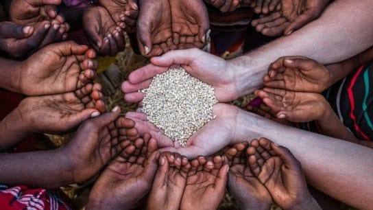 Why Global Food Security Matters in 2024