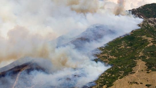 What Causes Wildfires?