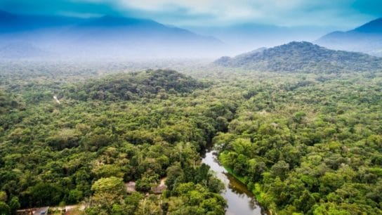 Facebook Bans Sales of Protected Land in the Amazon Rainforest on Marketplace