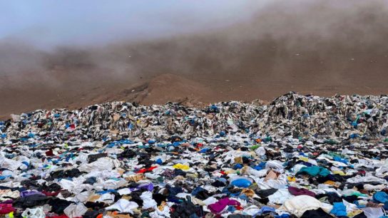 Fast Fashion Giant Shein Pledges $50M to Tackle Textile Waste