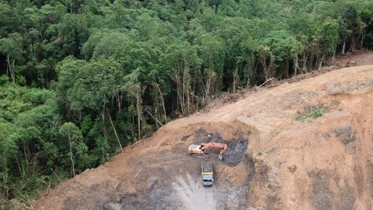 100 Countries Pledge to End Deforestation by 2030 in Historic Declaration at COP26