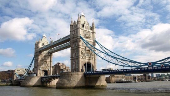 Recovering River Thames London Now Home to Sharks and Seals