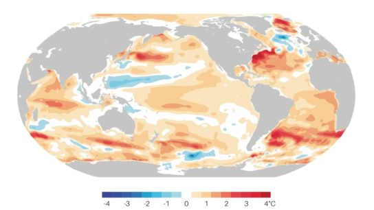 EO Indexes: Warming Oceans