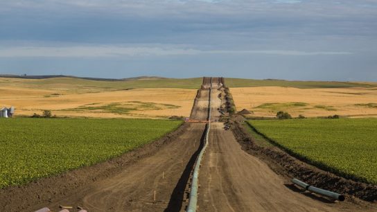 The Dakota Access Pipeline has Been Ordered to Temporarily Shut Down