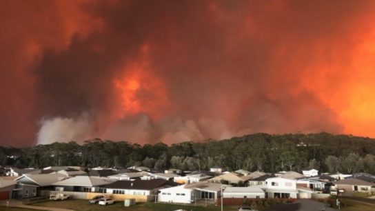A Crisis of the Australia Bushfires: A Government’s Failure
