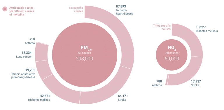 Mortality due to different causes for PM₂.₅ and NO₂, 2021. Image: European Environment Agency.