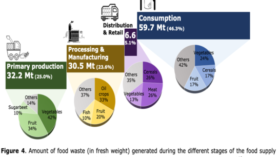 Consumer-Level Solutions to Food Waste